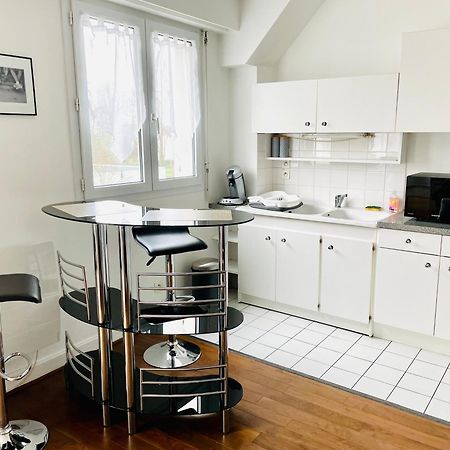 Charmant Appartement En Bord De Cher Saint-Avertin Dış mekan fotoğraf