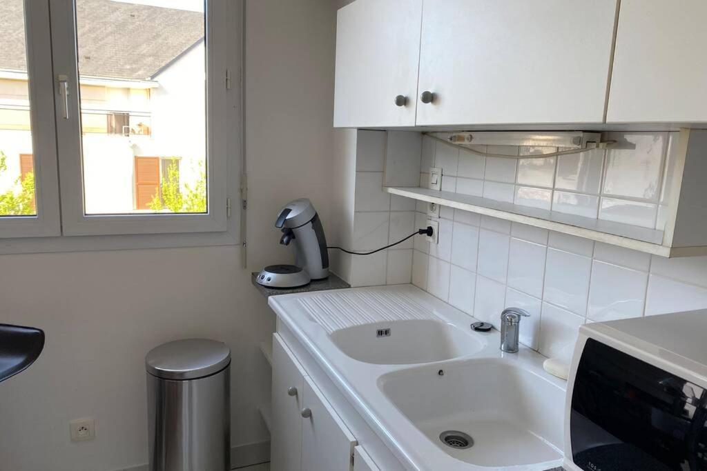 Charmant Appartement En Bord De Cher Saint-Avertin Dış mekan fotoğraf